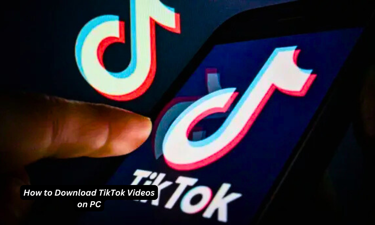 How to Download TikTok Videos on PC (With or Without Watermark)